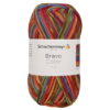 Пряжа Schachenmayr Originals Bravo Color 50г/133м, 9801421, цвет 02085, rainbow jacquard color, розовый/зеленый/кремовый