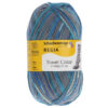 Пряжа Schachenmayr Regia 4-fadig Color 100г/420м, 9801269, цвет 01119 Lincoln Hwy Color