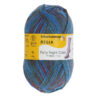 Пряжа Schachenmayr Regia 4-fadig Color 100г/420м, 9801269, цвет 01132 Firework