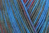 Пряжа Schachenmayr Regia 4-fadig Color 100г/420м, 9801269, цвет 01132 Firework