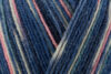 Пряжа Schachenmayr Regia 4-fadig Color 100г/420м, 9801269, цвет 01168 eternal
