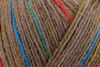 Пряжа Schachenmayr Regia 4-fadig Color 100г/420м, 9801269, цвет 01202 chalet