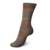 Пряжа Schachenmayr Regia 4-fadig Color 100г/420м, 9801269, цвет 01202 chalet