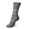 Пряжа Schachenmayr Regia 4-fadig Color 100г/420м, 9801269, цвет 01205 climbing