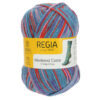 Пряжа Schachenmayr Regia 4-fadig Color 100г/420м, 9801269, цвет 01235 Schwimmbad Color