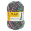 Пряжа Schachenmayr Regia 4-fadig Color 100г/420м, 9801269, цвет 01236 Shoppingtour Color