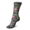 Пряжа Schachenmayr Regia 4-fadig Color 100г/420м, 9801269, цвет 01236 Shoppingtour Color