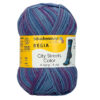 Пряжа Schachenmayr Regia 4-fadig Color 100г/420м, 9801269, цвет 02892 manhattan