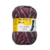Пряжа Schachenmayr Regia 4-fadig Color 100г/420м, 9801269, цвет 02896 riverdale