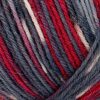 Пряжа Schachenmayr Regia 4-fadig Color 100г/420м, 9801269, цвет 02896 riverdale
