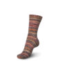 Пряжа Schachenmayr Regia 4-fadig Color 100г/420м, 9801269, цвет 04768 cardamom