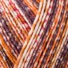 Пряжа Schachenmayr Regia 4-fadig Color 100г/420м, 9801269, цвет 04768 cardamom