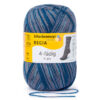 Пряжа Schachenmayr Regia 4-fadig Color 100г/420м, 9801269, цвет 09019 hammerfest