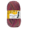Пряжа Schachenmayr Regia 6-fadig Color 150г/375м, 9801285, цвет 01144 темно-красный