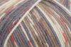 Пряжа Schachenmayr Regia 6-fadig Color 150г/375м, 9801285, цвет 02791 бежевый