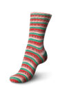 Пряжа Schachenmayr Regia Cotton Color 100г/420м, 9801621, цвет 02421 арбузный