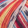 Пряжа Schachenmayr Regia Design Line из 4 ниток 02461, Дизайн от Arne & Carlos, nome color