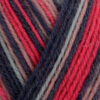 Пряжа Schachenmayr Regia Design Line из 4 ниток 03854, Дизайн от Dee Hardwicke, dahlia color