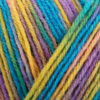 Пряжа Schachenmayr Regia Design Line из 4 ниток 03860, Дизайн от Dee Hardwicke, jotka color