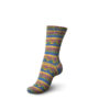 Пряжа Schachenmayr Regia Design Line из 4 ниток 03860, Дизайн от Dee Hardwicke, jotka color