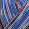 Пряжа Schachenmayr Regia Design Line из 4 ниток 03881, Дизайн от Arne & Carlos, nusfjord color