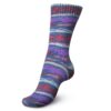 Пряжа Schachenmayr Regia Design Line из 4 ниток 07029, Mountains and Fjords Color